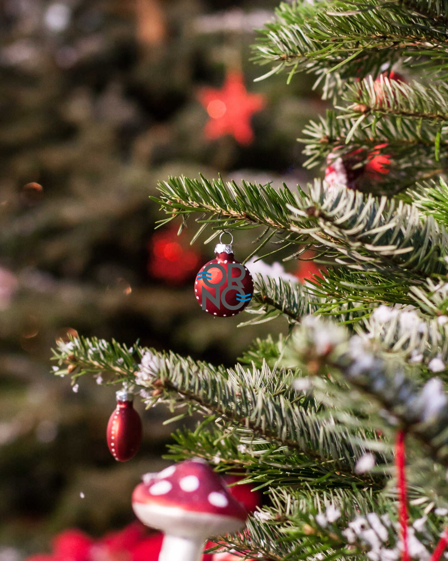 Manque d’idées pour Noël? Offrez des Orno!